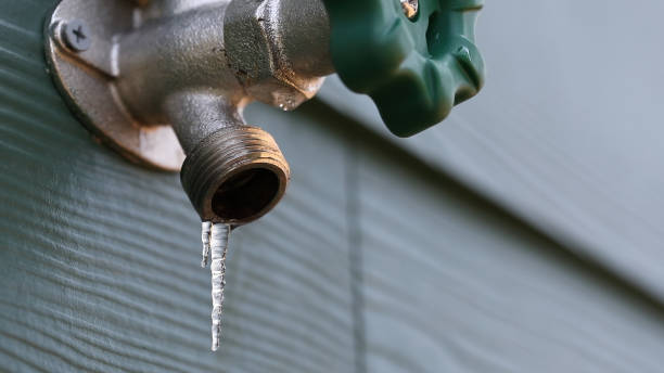 Best Affordable Plumber Near Me  in Gruetli Laager, TN